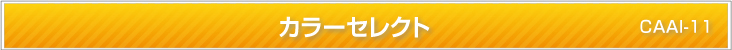 カラーセレクト