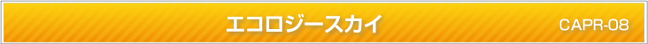 エコロジースカイ